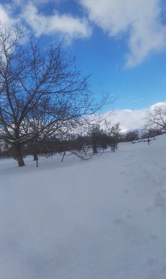 Mount Etna Chalet Maletto Exterior foto