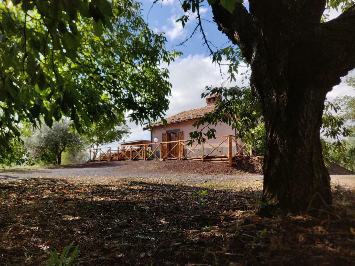 Mount Etna Chalet Maletto Exterior foto